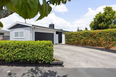 Photo of property in 16 Donny Avenue, Chartwell, Hamilton, 3210