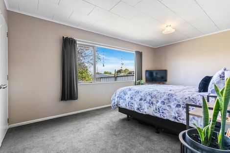 Photo of property in 21 Hinerua Street, Maungatapu, Tauranga, 3112