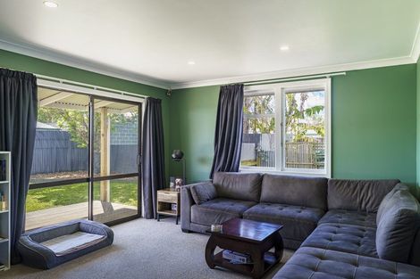 Photo of property in 6 Essex Street, Tamatea, Napier, 4112