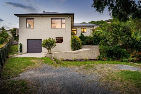 Photo of property in 41 Shandon Road, Vauxhall, Dunedin, 9013