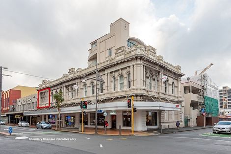 Photo of property in 60u6 Courtenay Place, Te Aro, Wellington, 6011