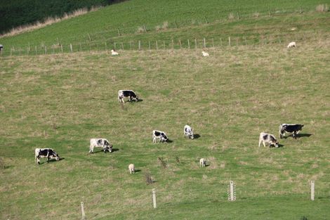 Photo of property in 17 Hill Street, Te Kuiti, 3910