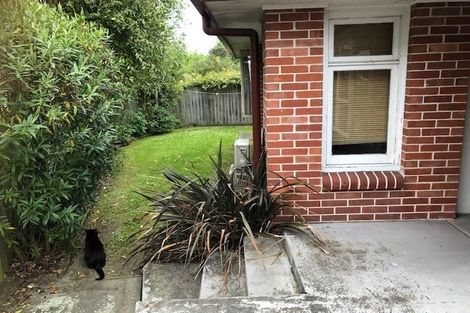 Photo of property in 124 Harris Crescent, Papanui, Christchurch, 8053
