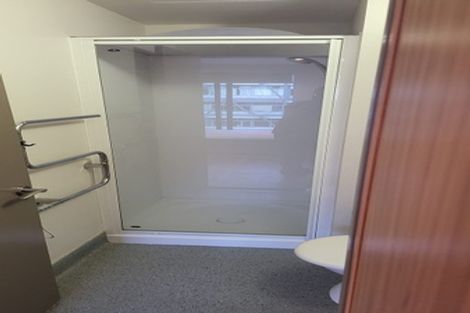Photo of property in Dual Apartments, 108/142u Vivian Street, Te Aro, Wellington, 6011