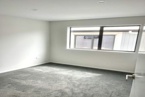 Photo of property in 17 Cyperus Street, Flat Bush, 2019