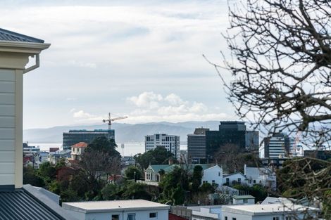 Photo of property in 1/24 Patanga Crescent, Thorndon, Wellington, 6011