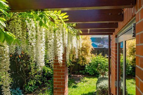 Photo of property in 58 Nile Street, Nelson, 7010