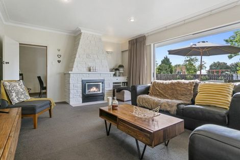 Photo of property in 176 Mcnair Road, Te Awamutu, 3800