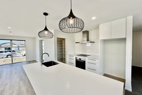 Photo of property in 13 John Gibb Street, Belfast, 8051
