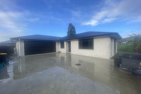Photo of property in 67a Studholme Street, Morrinsville, 3300