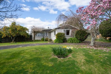 Photo of property in 51 Grosvenor Street, Cambridge, 3434