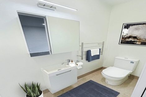 Photo of property in Aniva Terrace, 22 Ferguson Street, Newtown, Wellington, 6021