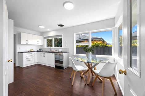 Photo of property in 4 Adrian Place, Shirley, Christchurch, 8061