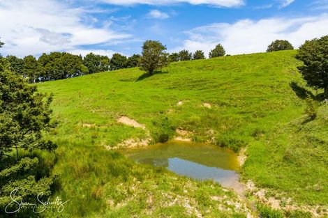 Photo of property in 338 Wairere Road, Waitakere, Henderson, 0782