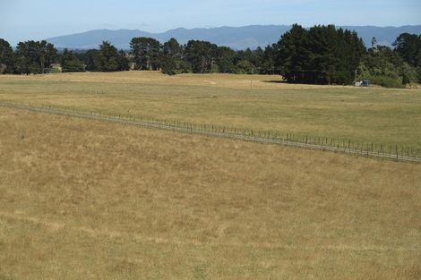 Photo of property in 66 Hamilton Road, Dannevirke, 4976