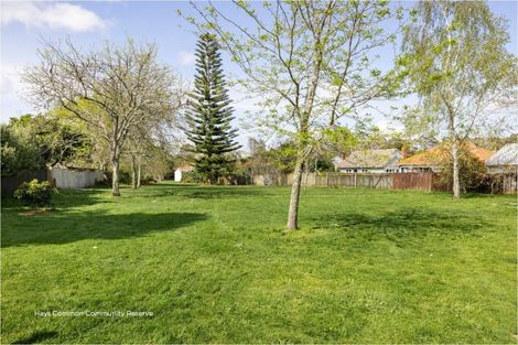 Photo of property in 48 Galway Avenue, Hamilton East, Hamilton, 3216