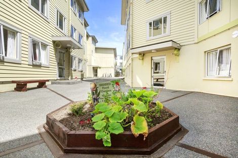 Photo of property in Basin Reserve Complex, 48/4 Sussex Street, Mount Cook, Wellington, 6021