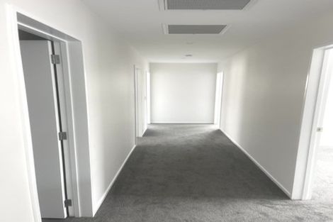 Photo of property in 17 Cyperus Street, Flat Bush, 2019