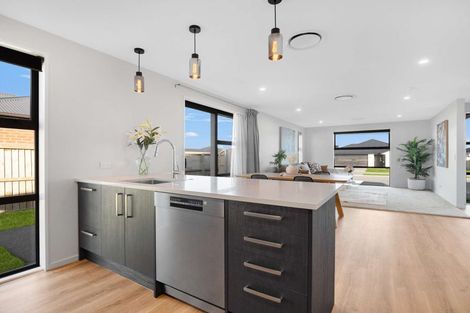 Photo of property in 101 Ed Hillary Drive, Rolleston, 7615