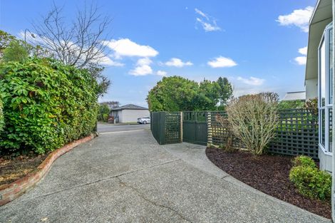 Photo of property in 255 Talbot Street, Hargest, Invercargill, 9810