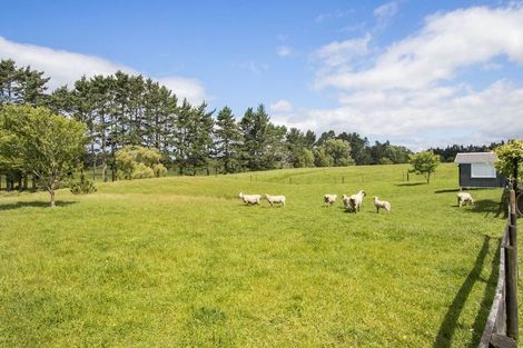 Photo of property in 36 Fisher Road, Waihi, 3681