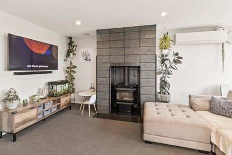 Photo of property in 21 Braddon Street, Saint Andrews, 7988