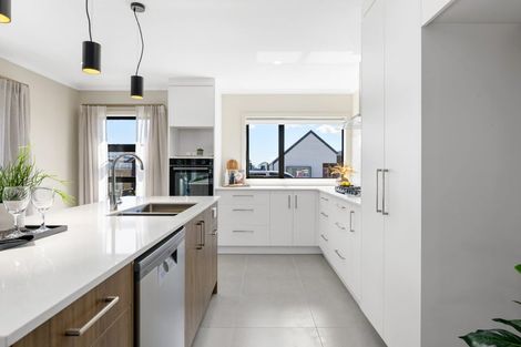 Photo of property in 37 Earp Crescent, Chartwell, 3210