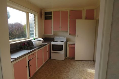 Photo of property in 18 Dudley Street, Levin, 5510