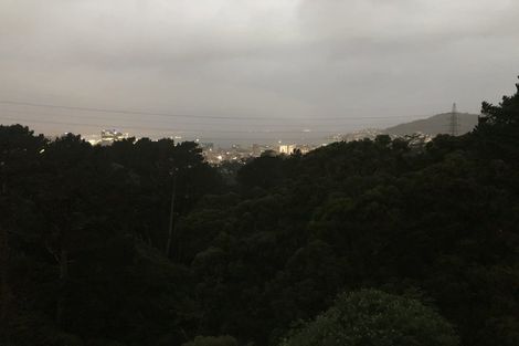 Photo of property in 61 Mortimer Terrace, Brooklyn, Wellington, 6021