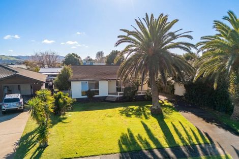Photo of property in 4 Springbok Avenue, Whitianga, 3510