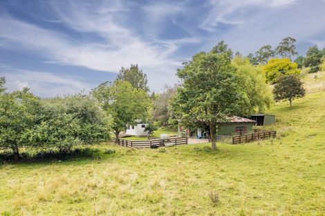 Photo of property in 59 Ongaonga Road, Waipawa, 4272