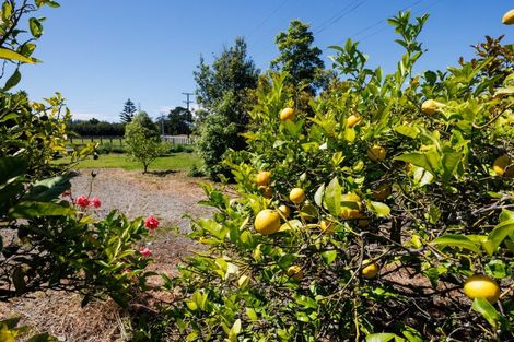 Photo of property in 61 Pohangina Road, Ashhurst, Palmerston North, 4470