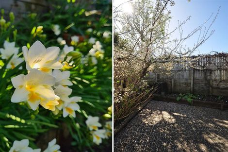 Photo of property in 51 Splitt Avenue, Glenview, Hamilton, 3206