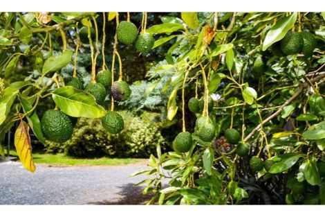Photo of property in 15 Quinces Landing, Kerikeri, 0293
