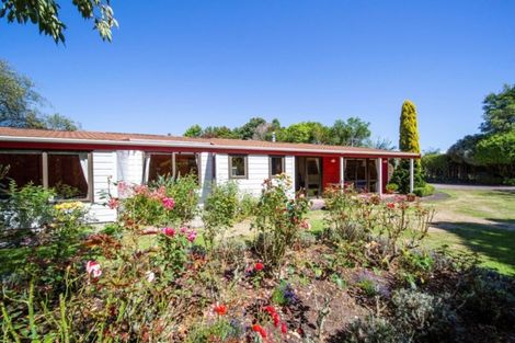 Photo of property in 37 Flint Road West, Stratford, 4332