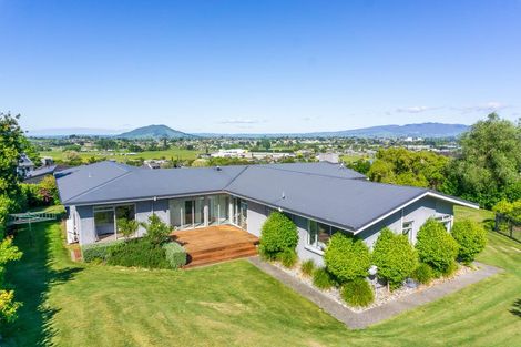 Photo of property in 142 Picquet Hill Road, Te Awamutu, 3800