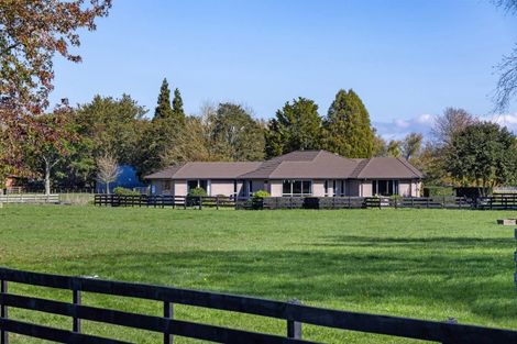 Photo of property in 16 Mill Road, Ohaupo, 3881