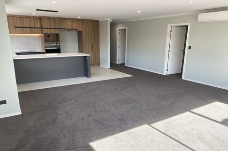 Photo of property in 41 Carrs Road, Chartwell, Hamilton, 3210