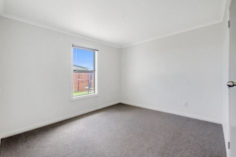 Photo of property in 91 Tiro Tiro Road, Levin, 5510