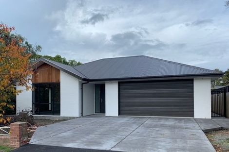 Photo of property in 61a Whitefield Street, Kaiapoi, 7630