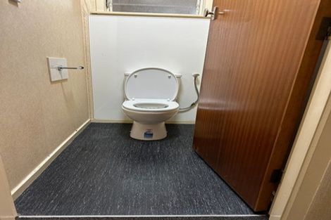 Photo of property in 11u2 Manning Street, Hamilton Central, Hamilton, 3204