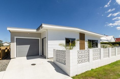 Photo of property in 102 Auckland Road, Greenmeadows, Napier, 4112