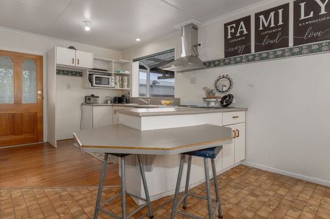 Photo of property in 43 Tiro Tiro Road, Levin, 5510