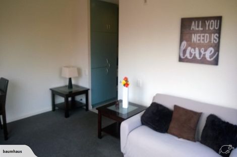 Photo of property in 12/245 Montreal Street, Christchurch Central, Christchurch, 8013