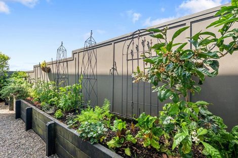 Photo of property in 47 Princes Street, Northcote Point, Auckland, 0627