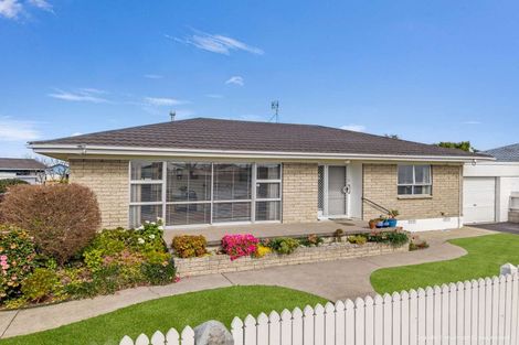 Photo of property in 178 Clarkin Road, Fairfield, Hamilton, 3214