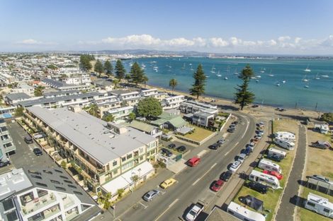 Photo of property in 6 Adams Avenue, Mount Maunganui, 3116