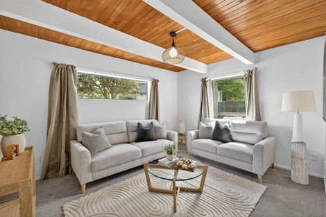 Photo of property in 3a Amstel Lane, Richmond, Christchurch, 8013