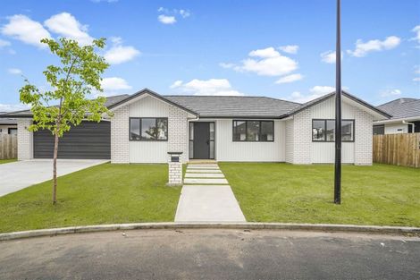 Photo of property in 52 Maggie Place, Chartwell, Hamilton, 3210