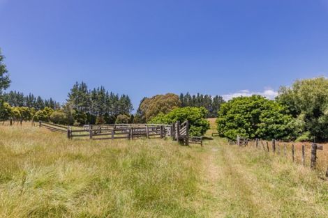 Photo of property in 391 Pakaru Road, Kawakawa, 0282